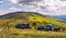 Blueberry harvesting in Carpathian mountains