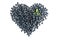 Blueberry heart shape