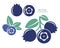 Blueberry. Icon set