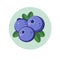 Blueberry illustration. Berries in green circle.