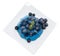 Blueberry Jello isolated on white