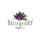 Blueberry Logo Design Vector Stock Illustration . Berries Logo Icon Template