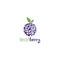 Blueberry Logo Vector Design