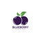 Blueberry logo vector template icon illustration