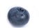 Blueberry macro