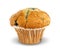 Blueberry Muffin