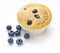 Blueberry Muffin Blueberries