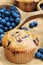 Blueberry Muffins