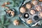 Blueberry muffins with sugar icing in a baking tray with Christmas decorations around, top view