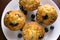 Blueberry muffins on white plate with blueberries