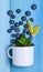 Blueberry on mug spill blue background top view mint lime rustic summer