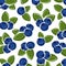 Blueberry pattern background set. Collection icon blueberry. Vector