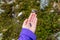 Blueberry picking - wild blueberries in Alaska, fresh natural fruit in the outdoor nature. Woman hand showing small berries fruits