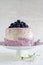 Blueberry pie with cream cheese and coconut flake