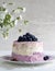 Blueberry pie with cream cheese and coconut flake