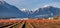 Blueberry plantation in a mountain valley