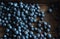 Blueberry ripe wooden background.