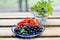 Blueberry and rowanberry lie on a plate on a table in the kitchen