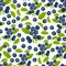 Blueberry seamless pattern