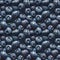 Blueberry seamless pattern background. Realistic photographic style.