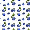 Blueberry seamless pattern by hand drawing on white backgrounds.