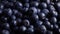 Blueberry Sensation: Macro View of Rotating Blueberries in Exquisite Detail