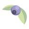 Blueberry simple logo design concept. Forest fruit creative symbol template. Vector illustration