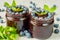 Blueberry smoothies in the glasses decorated with fresh mint on the gray background. Summer detox superfoods breakfast