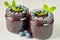 Blueberry smoothies in the glasses with fresh mint leaves on the gray background. Summer detox superfoods breakfast or dessert