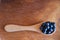 Blueberry spoon