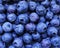 Blueberry, summer fruit, close up. Great bilberry texture for background. Vegan raw food, healthy food, vitamins