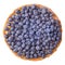 Blueberry tart isolated white