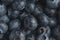 Blueberry texture closeup.Berries and harvesting, background.macro