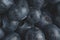 Blueberry texture closeup.Berries and harvesting, background.macro