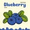 Blueberry vector illustration, berries images. Doodle Blueberry vector illustration in blue and green color. Blueberry