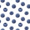 Blueberry vector seamless pattern. Natural fresh ripe tasty blueberries on white. Seamless background. Vector illustration, eps.