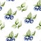 Blueberry watercolor seamless pattern