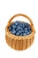 Blueberry in wicker basket isolated on a white