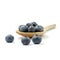 Blueberry Wooden Spoon