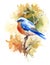 Bluebird Bird on the Branch with Autumn Leaves Watercolor Fall Illustration Hand Painted