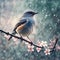 Bluebird On Cherry Blossom Branch In Window With Raindrops