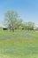 Bluebonnet blossom in countryside Texas with farm barns