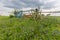 Bluebonnet field and Texas flag gate in countryside of Ennis, TX