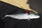 Bluefin Trevally on deck of a ship