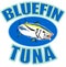 Bluefin tuna fish