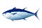 Bluefin Tuna Fish