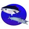 Bluefin tuna and a wahoo fish in a blue circle