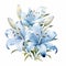 Blues Lily Flowers Watercolor Clipart On White Background