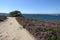 Bluest sea ever. Purple flowers Vourvourou. Greece.