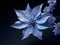 Bluestar flower in studio background, single bluestar flower, Beautiful flower photo
